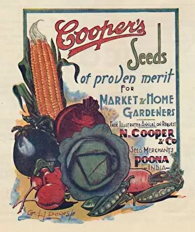 Cecil Collection: Advertisement for Coopers seeds, 1936. Creator: Cecil Dawes
