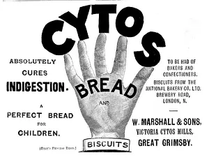 Indigestion Prints: Advertisement for Cytos Bread and Biscuits, 1895. Creator: Unknown