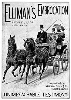 Parasol Prints: Advertisement for Elliman's Embrocation