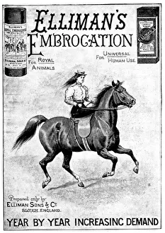 Muscles Prints: Advertisement for Elliman's Embrocation