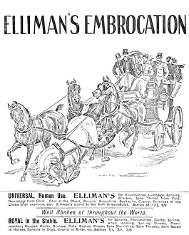 Lotion Prints: Advertisement for Elliman's Embrocation