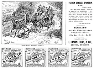 Muscles Prints: Advertisement for Elliman's Royal Embrocation, 1890. Creator: Joseph Swain