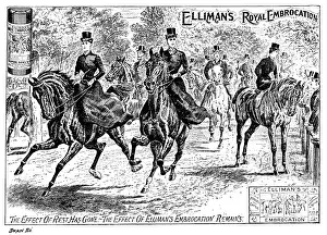 Muscles Prints: Advertisement for Elliman's Royal Embrocation