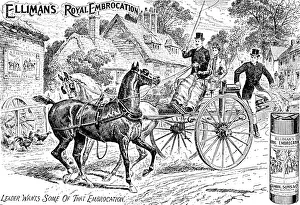 Seat Prints: Advertisement for Elliman's Royal Embrocation