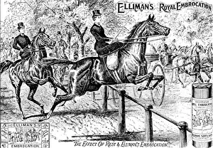 Muscles Prints: Advertisement for Elliman's Royal Embrocation