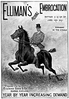 Muscles Prints: Advertisement for Elliman's Royal Embrocation