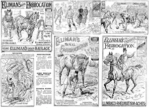 Running Prints: Advertisement for Elliman's Royal and Universal Embrocations