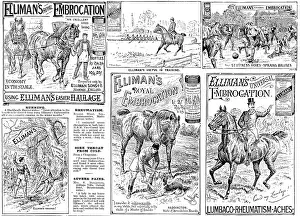 Running Prints: Advertisement for Elliman's Royal and Universal Embrocations
