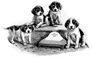 Thirsty Prints: Advertisement for Hudson's Soap, 1890. Creator: Unknown