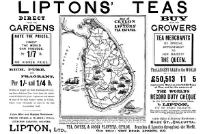 Ceylon Sri Lanka Prints: Advertisement for Liptons Teas, 1898