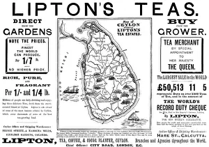 Ceylon Sri Lanka Prints: Advertisement for Lipton's Teas