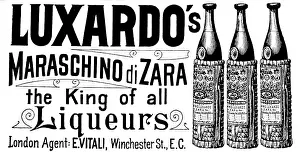 Advertisement for Luxardo's Maraschino di Zara, the King of all Liqueurs, 1895