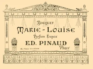 Marie Louise Prints: Advertisement for Marie-Louise perfume, 1903. Creator: Unknown