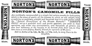 Indigestion Prints: Advertisement for Norton's Camomile Pills, 1890. Creator: Unknown