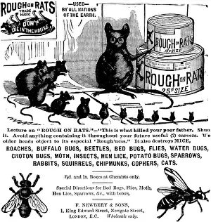 Containers Prints: Advertisement for Rough on Rats, 1890. Creator: Unknown
