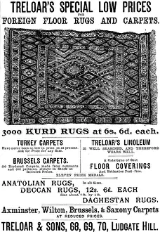 Carpet Prints: Advertisement for Treloar's Foreign Floor Rugs and Carpets, 1890. Creator: Unknown