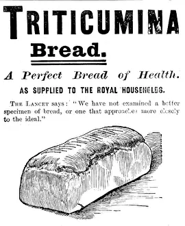 Fibre Prints: Advertisement for Triticumina Bread, 1895. Creator: Unknown