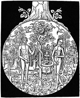 Douglas Percy Collection: Adam and Eve, 1505 (1964)