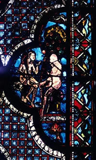 Chartres Collection: Adam and Eve, stained glass, Chartres Cathedral, France, 1205-1215