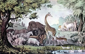 Adam Naming the Creatures, 1847.Artist: Nathaniel Currier