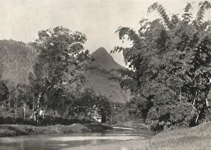 Georg Moller Prints: Adamspik von Gegend Maskeliya, 1926