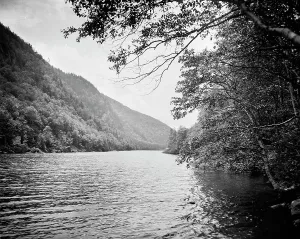 Adirondacks Prints: Adirondack Mts. N.Y. between 1900 and 1910. Creator: Unknown