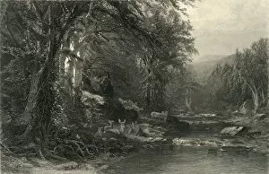 Idyllic Collection: The Adirondack Woods, 1874. Creator: Robert Hinshelwood