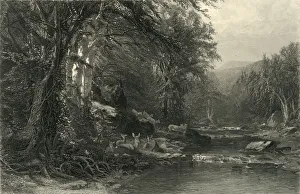 The Adirondack Woods, 1874. Creator: Robert Hinshelwood