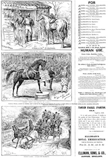 Advertisements for Elliman's Universal Embrocation, 1890. Creator: William Stanfield Sturgess