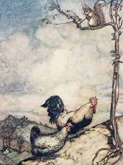 Childrens Illustration Gallery: The Adventures of Chanticleer and Partlet, 1909
