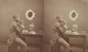 Sunflower Prints: An Aesthetic Darkey from the Aiken and Vicinity'series, 1882. Creator: James A Palmer