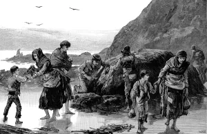 Failed Collection: Aftermath of famine, Ireland (1840s), 1886