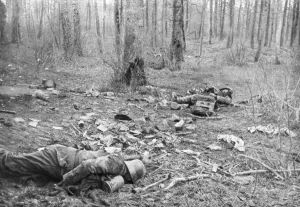 Oise Prints: Aftermath of the fighting in the park of Plessis-de-Roye, Picardy, France, 30th March 1918