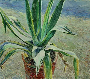 Agave Prints: Agave, 1891. Artist: Borisov-Musatov, Viktor Elpidiforovich (1870-1905)