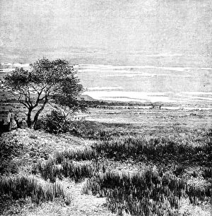 Images Dated 5th February 2008: Agha Valley, Central Pampa, Argentina, 1895