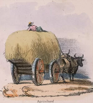 Images Dated 8th August 2006: Agricultural, c 1845. Artist: Robert Kent Thomas