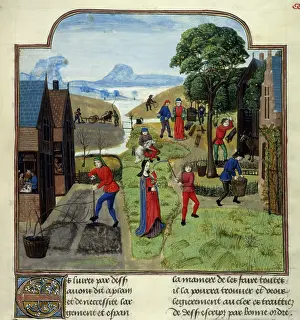 Agricultural labours, late 15th century. Creator: Unknown
