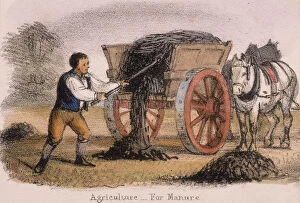 Images Dated 8th August 2006: Agriculture, for Manure, c1845. Artist: Benjamin Waterhouse Hawkins