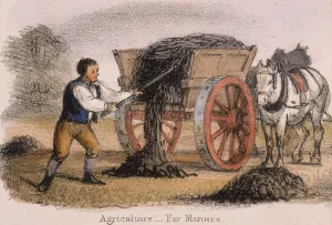 Fertiliser Prints: Agriculture, for Manure, c1845. Artist: Benjamin Waterhouse Hawkins