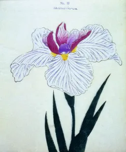 Mauve Prints: Akashi-No-Ul, No 10