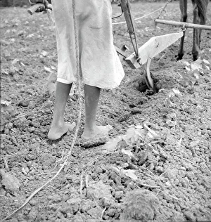 Soil Prints: Alabama plow girl, Near Eutaw, Alabama, 1936. Creator: Dorothea Lange