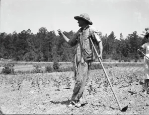 Sharecropper Prints: Alabama tenant farmer near Anniston, Alabama, 1936. Creator: Dorothea Lange