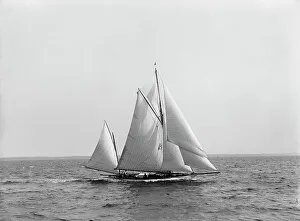 Johnston Js Prints: Albicore, 1899 July 29. Creator: Johns Johnston