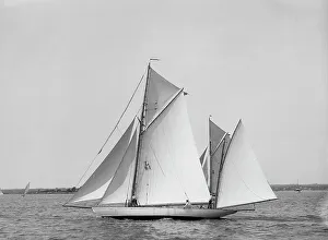 Johnston Js Prints: Albicore, 1899 July 29. Creator: Johns Johnston