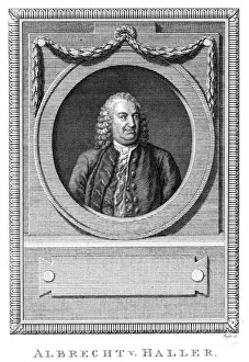 Albrecht von Haller, Swiss physician and scientist, c1770 (c1780) Albrecht von Haller, Swiss physician and scientist, c1770 (c1780)