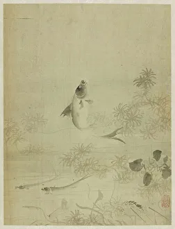 Agility Prints: Album, 1661. Creator: Bin Xie