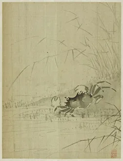 Crab Prints: Album, 1661. Creator: Bin Xie