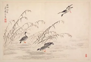 Album of Calligraphy and Paintings, 18th Century. Creator: Bian Shoumin (Chinese, 1684-1752)