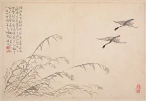 Album of Calligraphy and Paintings, 18th Century. Creator: Bian Shoumin (Chinese, 1684-1752)