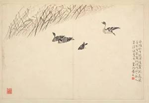 Album of Calligraphy and Paintings, 18th Century. Creator: Bian Shoumin (Chinese, 1684-1752)